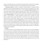 Finansų rinkos samprata ir jos dalyviai 7 puslapis