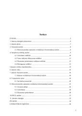 Organizacijos veiklos plėtra 2 puslapis