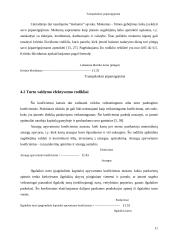 Organizacijos veiklos plėtra 11 puslapis