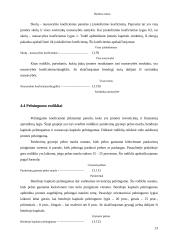 Organizacijos veiklos plėtra 13 puslapis