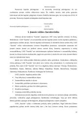 Organizacijos veiklos plėtra 14 puslapis