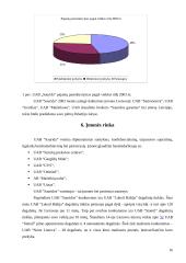 Organizacijos veiklos plėtra 16 puslapis