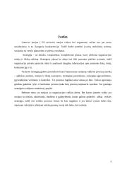 Organizacijos veiklos plėtra 3 puslapis