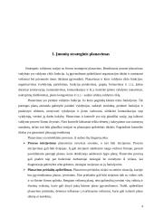 Organizacijos veiklos plėtra 4 puslapis