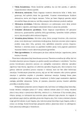 Organizacijos veiklos plėtra 5 puslapis