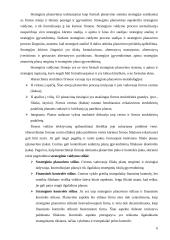 Organizacijos veiklos plėtra 6 puslapis