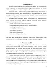 Organizacijos veiklos plėtra 8 puslapis