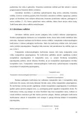 Organizacijos veiklos plėtra 10 puslapis