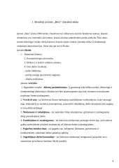 Finansų valdymas: UAB "Beta" 3 puslapis