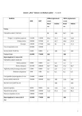 Finansų valdymas: UAB "Beta" 6 puslapis