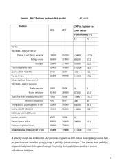 Finansų valdymas: UAB "Beta" 8 puslapis