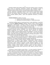 Fiskalinė politika glaustai 2 puslapis