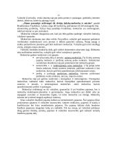 Fiskalinė politika glaustai 3 puslapis