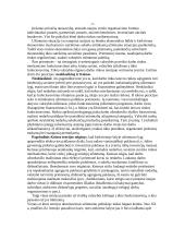 Fiskalinė politika glaustai 7 puslapis