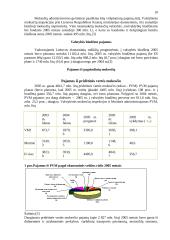 Lietuvos fiskalinės politikos raida 11 puslapis