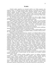 Lietuvos fiskalinės politikos raida 20 puslapis