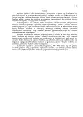 Lietuvos fiskalinės politikos raida 3 puslapis