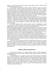 Lietuvos fiskalinės politikos raida 9 puslapis