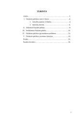 Fiskalinė politika Lietuvoje 2 puslapis