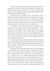 Fiskalinė politika Lietuvoje 6 puslapis