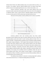 Fiskalinės bei monetarinės politikos derinys 5 puslapis