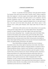 Fizinio aktyvumo ugdymas 2 puslapis