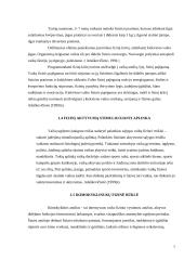 Fizinio aktyvumo ugdymas 6 puslapis