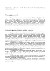 Fizinis pajėgumas vaikystėje ir paauglystėje 2 puslapis