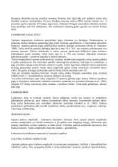 Fizinis pajėgumas vaikystėje ir paauglystėje 12 puslapis