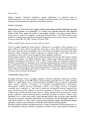 Fizinis pajėgumas vaikystėje ir paauglystėje 7 puslapis