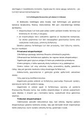 Forfeitingas 11 puslapis