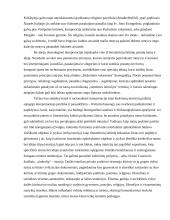 Forma ir turinys 14 puslapis