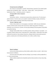 Forma ir turinys 4 puslapis