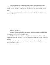 Forma ir turinys 5 puslapis