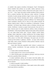 Formalios ir neformalios grupės įmonėje 5 puslapis