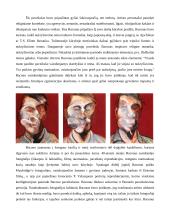 Francis Bacon. Menininko portretas 4 puslapis