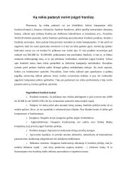 Franšizės samprata 13 puslapis