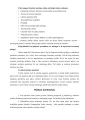 Franšizės samprata 14 puslapis