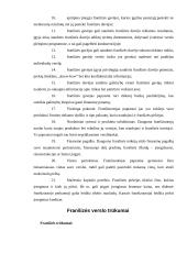 Franšizės samprata 16 puslapis