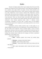 Franšizės samprata 18 puslapis