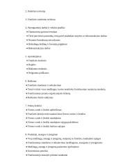 Franšizės samprata 10 puslapis