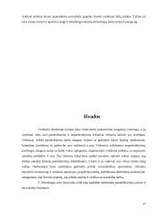 Frederiko Herzbergo motyvavimo teorija 17 puslapis