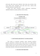 Funkcionuojantys dokumentai ir jų apžvalga įmonėje "X" 4 puslapis