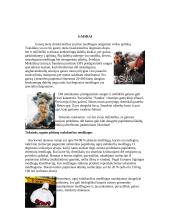 Gaisrai ir gesintuvai 5 puslapis