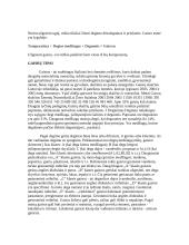 Gaisrai ir gesintuvai 6 puslapis