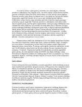 Gaisrai ir gesintuvai 7 puslapis