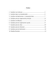 Gamyba, jos veiksniai, tipai, procesas 2 puslapis