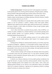 Gamyba, jos veiksniai, tipai, procesas 3 puslapis