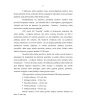 Gamybinių įmonių realizavimo strategijos formavimas: naftos telkinių paieška AB "Geonafta" 15 puslapis