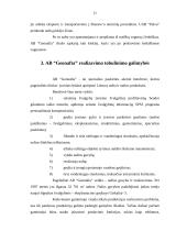 Gamybinių įmonių realizavimo strategijos formavimas: naftos telkinių paieška AB "Geonafta" 20 puslapis